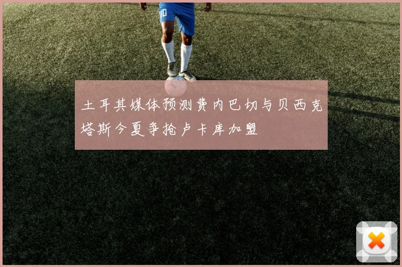 土耳其媒体预测费内巴切与贝西克塔斯今夏争抢卢卡库加盟